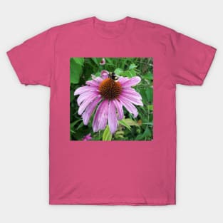 Bumblebee on Eastern Purple Coneflower T-Shirt